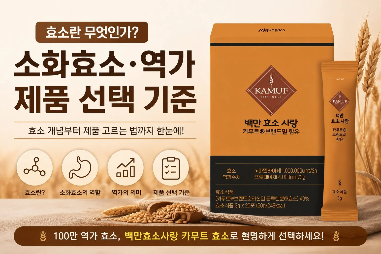 효소란 무엇인가: 소화효소·역가·제품 선택 기준