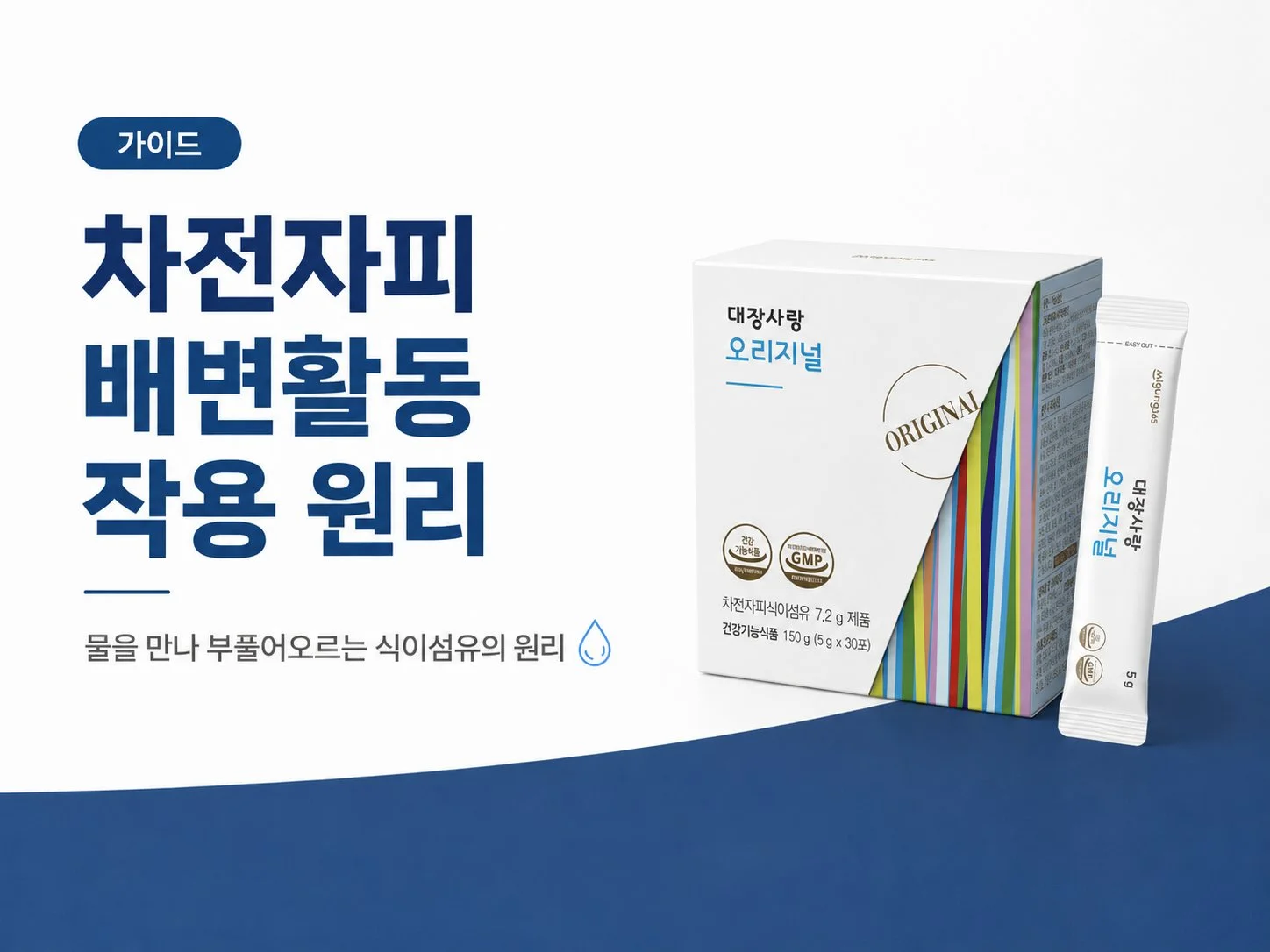 차전자피 배변활동 작용 원리